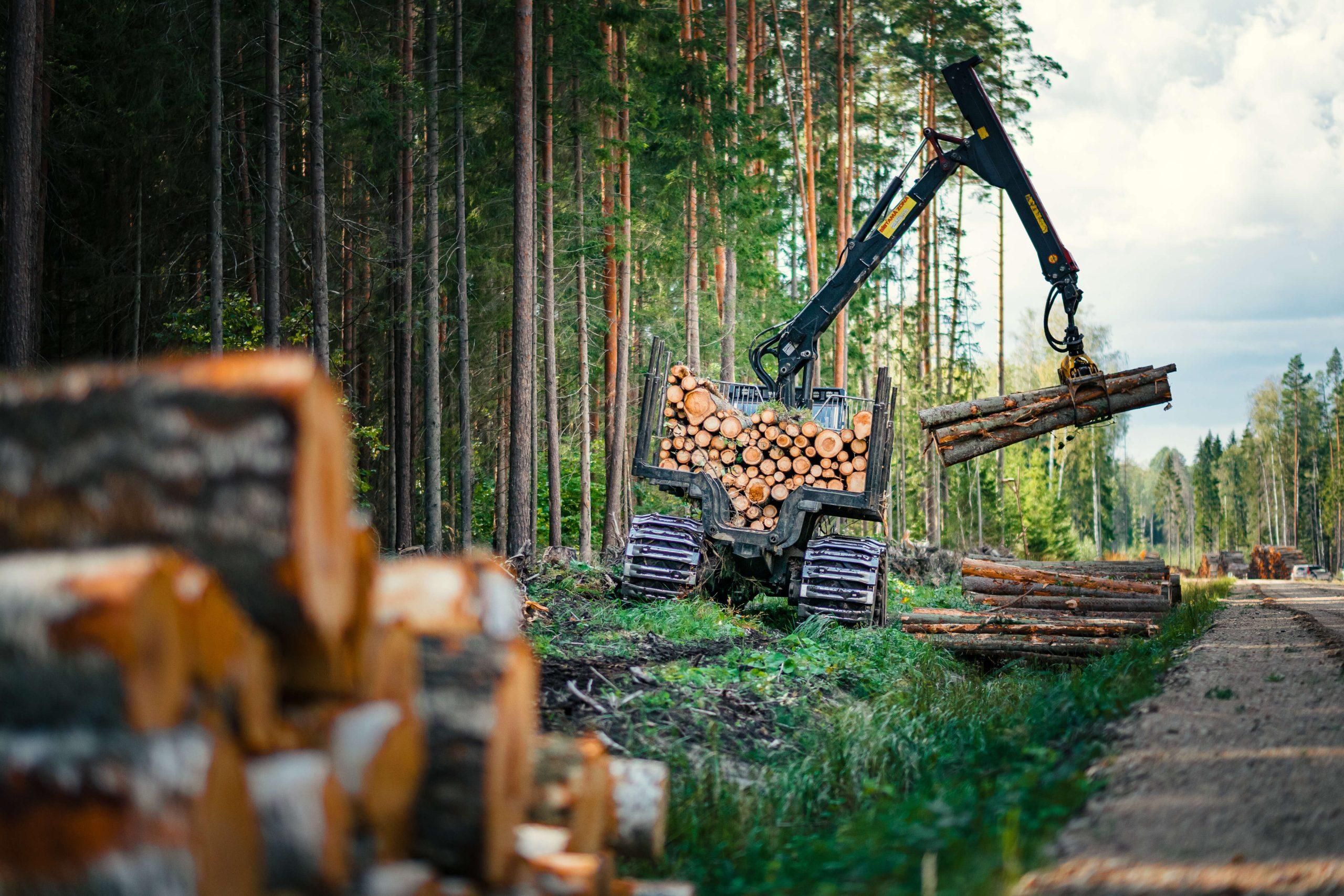 Kõige populaarsemad forwarderid Mascuses