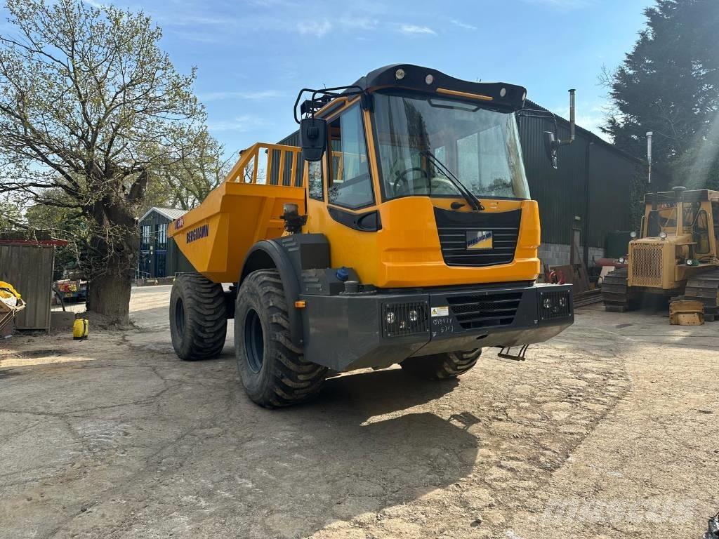 Bergmann C815S Liigendraamiga pinnaseveokid