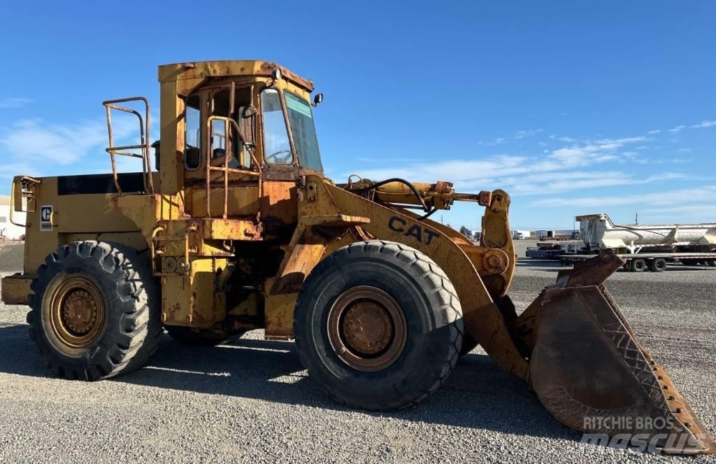 CAT 966 D Rataslaadurid