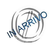 CAT 745 Liigendraamiga pinnaseveokid