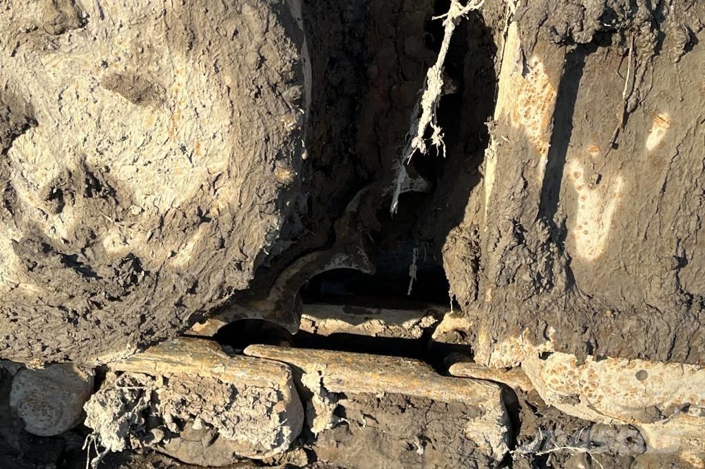 CASE CX 235 C Roomikekskavaatorid