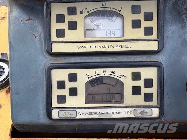 Bergmann 2050 Väikekallurid