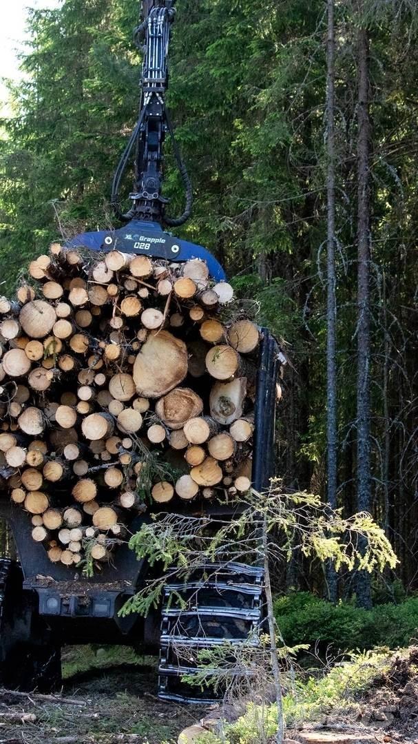  XL Grapple 028 STD Haaratsid (greiferid)