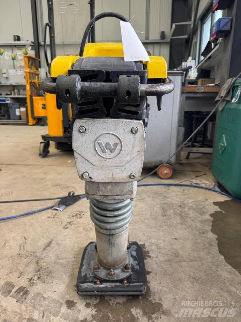 Wacker Neuson BS50-2 Vibroplaadid