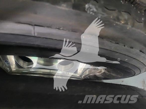 Fontaine  Madelpoolhaagised