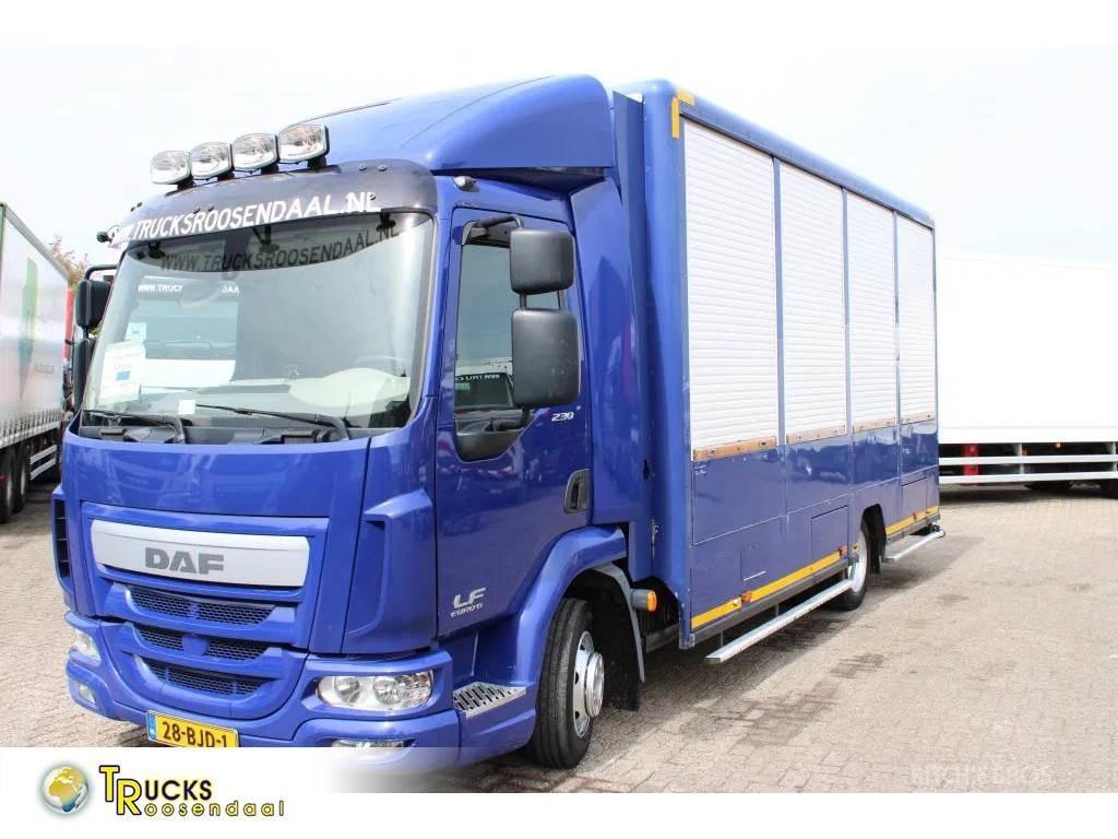 DAF LF 230 + EURO 6 Furgoonautod