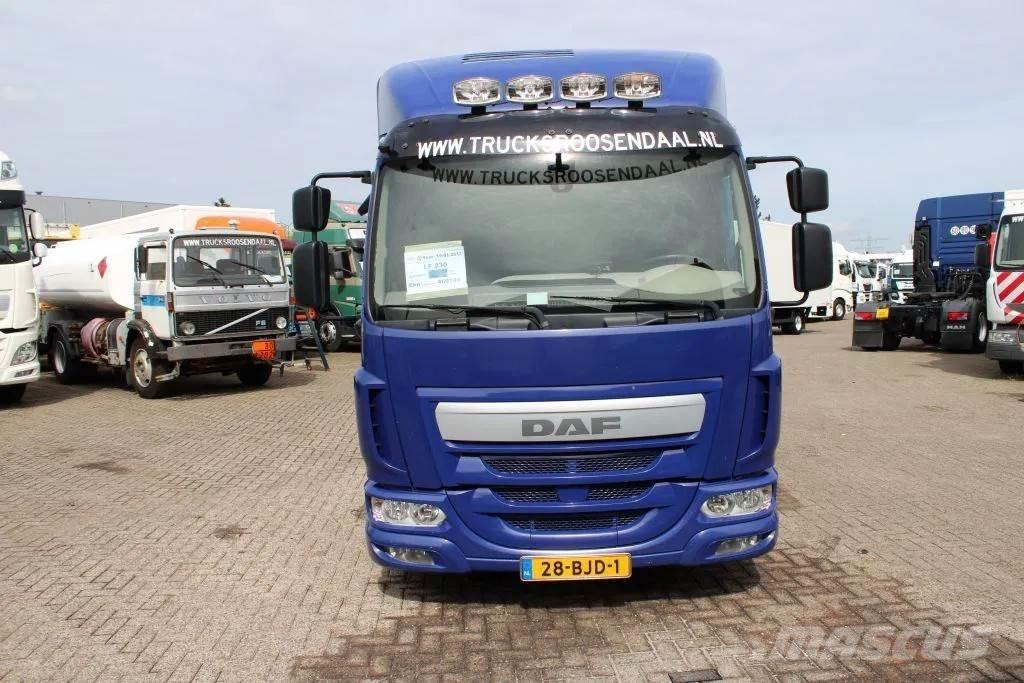DAF LF 230 + EURO 6 Furgoonautod