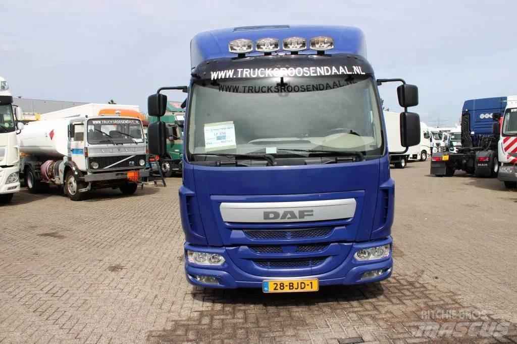DAF LF 230 + EURO 6 Furgoonautod