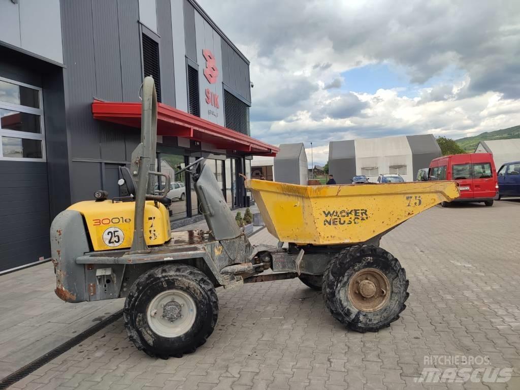 Wacker Neuson 3001 s Väikekallurid