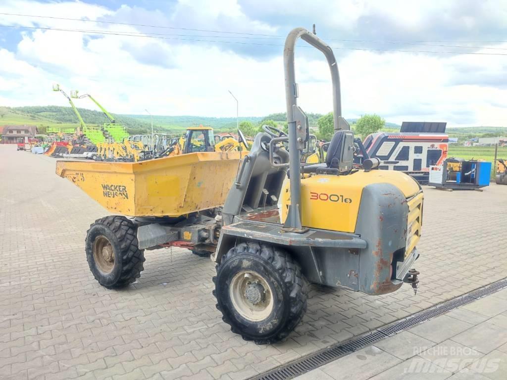 Wacker Neuson 3001 s Väikekallurid