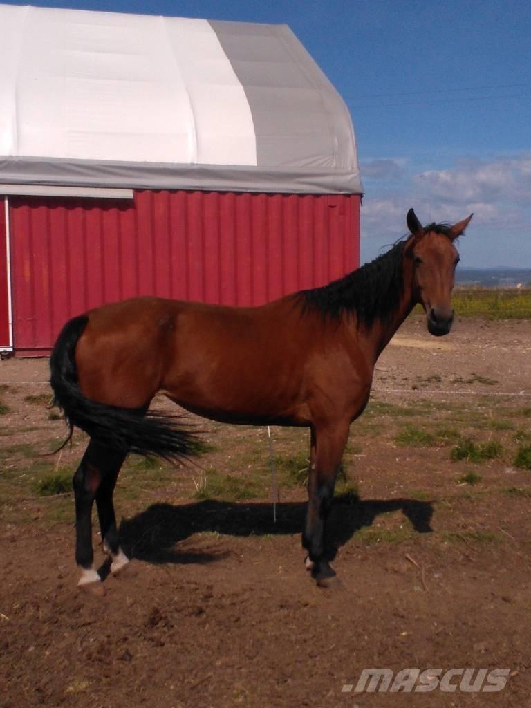  Horse Family Muu farmitehnika ja tarvikud