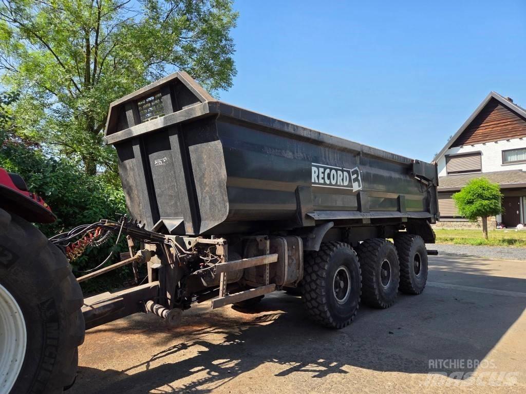 Record P33T Kallurhaagised