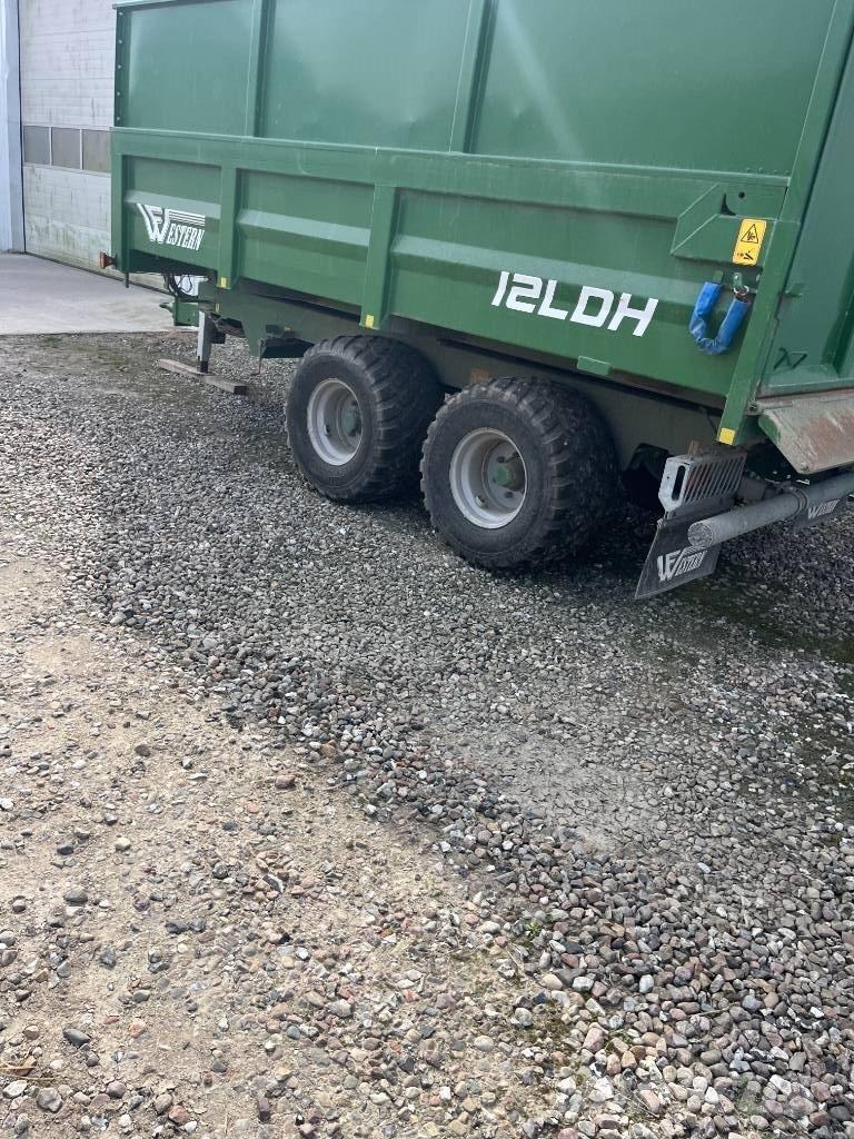 Western 12 LDH Kallurhaagised