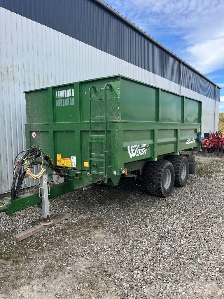 Western 12 LDH Kallurhaagised