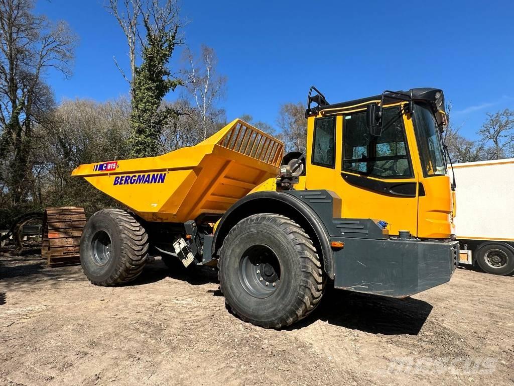 Bergmann C815S Liigendraamiga pinnaseveokid