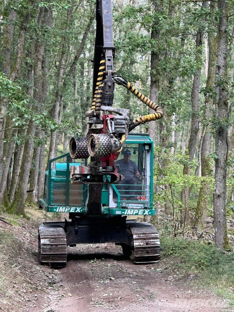 Impex Königstiger Harvesterid