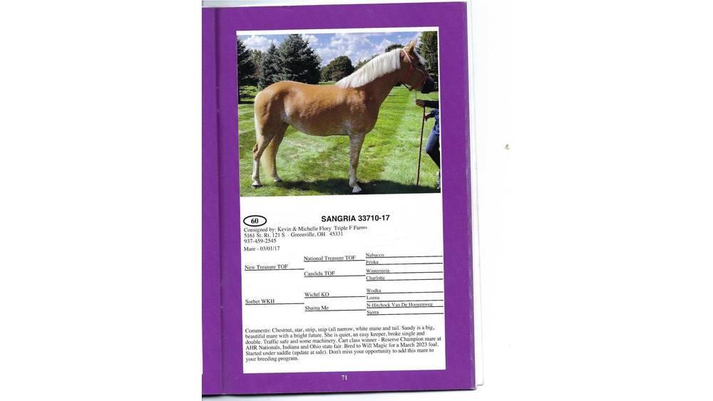  8 YO Chestnut Mare Muu farmitehnika ja tarvikud