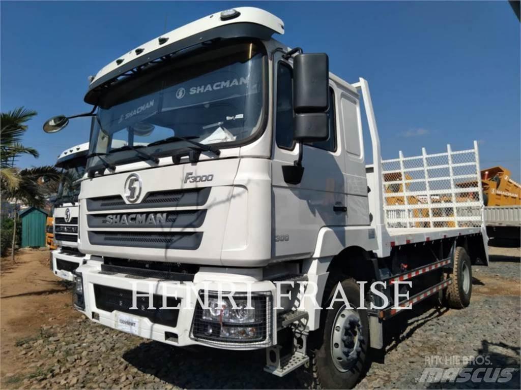 Shacman F3000 10T 4X2 Muu