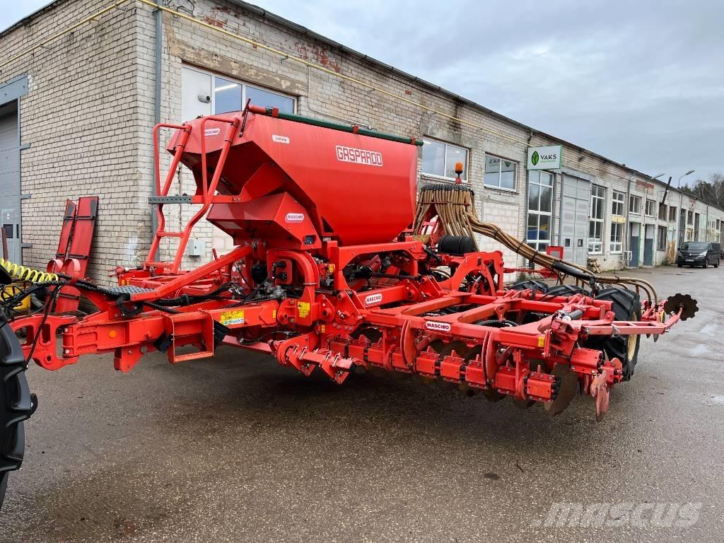 Maschio Corona Külvikud