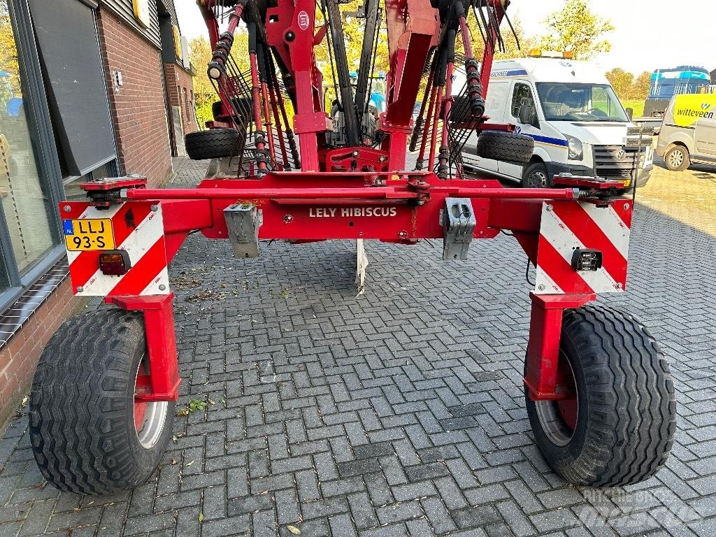 Lely Hibiscus 885 CD Vaalutid