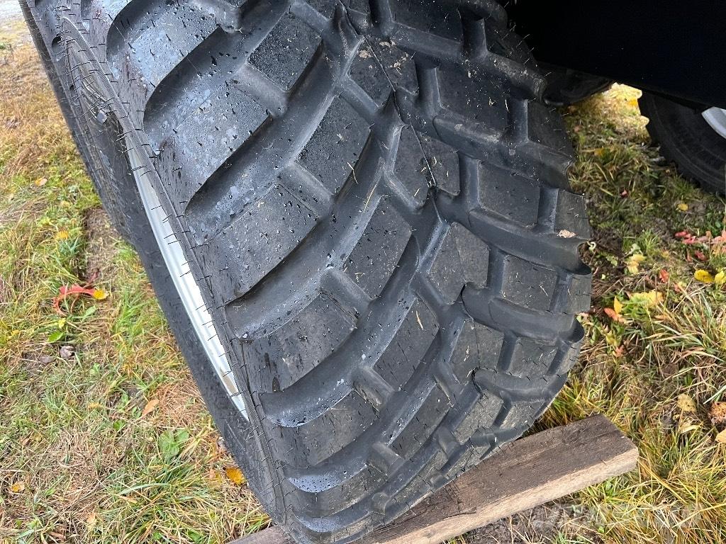 Rysky 1900 Kallurhaagised