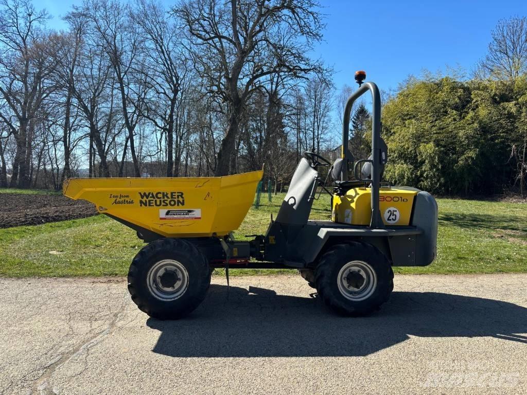 Wacker Neuson 3001 Väikekallurid