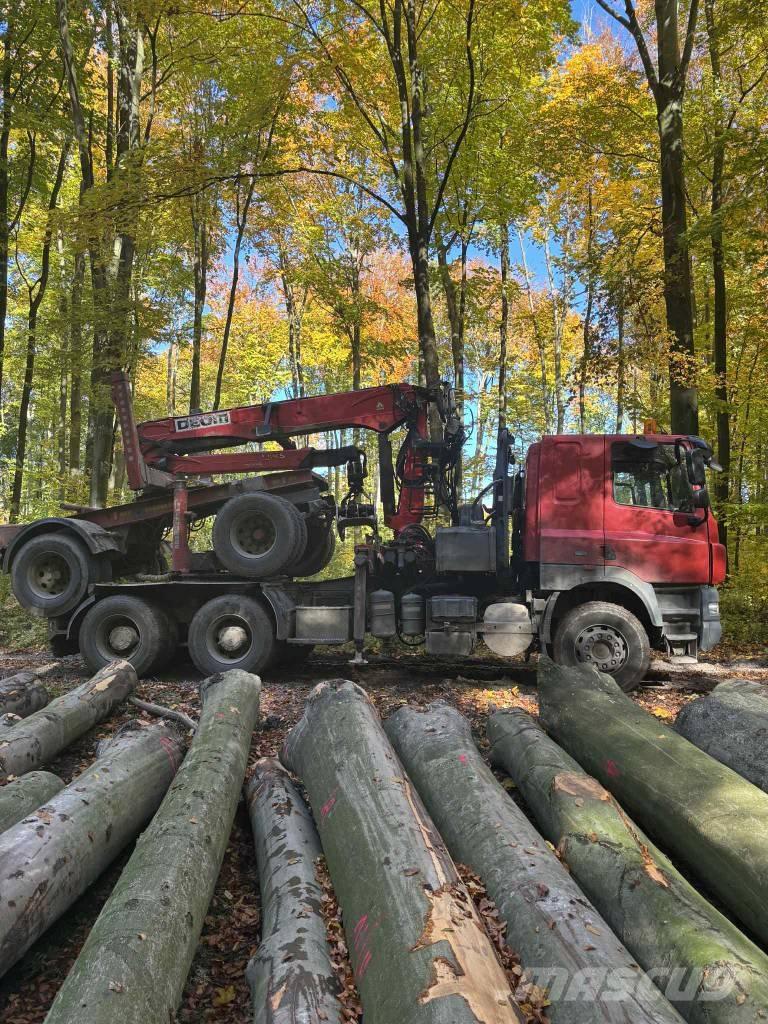 DAF CF 510 Metsaveokid