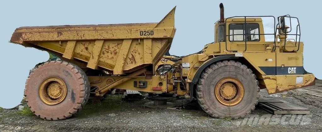CAT D 25 D Liigendraamiga pinnaseveokid