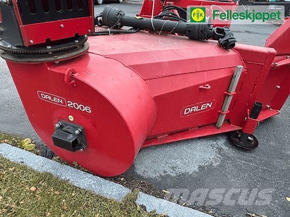 Dalen 2006 Lumefreesid