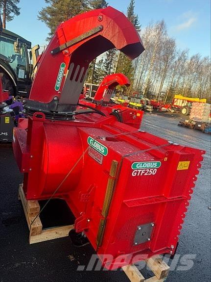 Globus 250 Lumefreesid