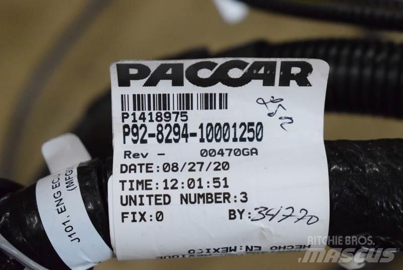 Paccar  Muud osad