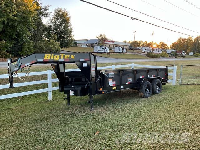 Big Tex  Kallurhaagised