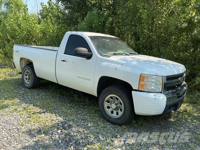Chevrolet 1500 Madelkaubikud