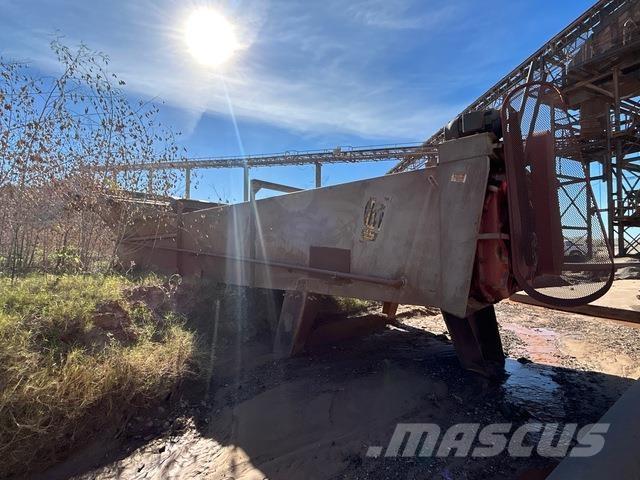  EIW BM-D29120 Kergsurvepesurid