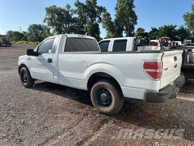 Ford F-150 Madelkaubikud
