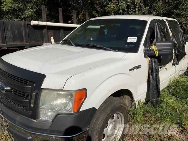 Ford F-150 Madelkaubikud