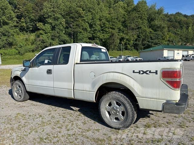 Ford F-150 Madelkaubikud
