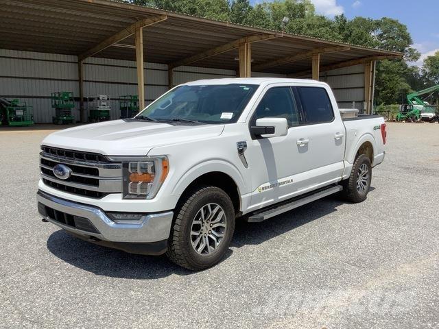 Ford F-150 Madelkaubikud