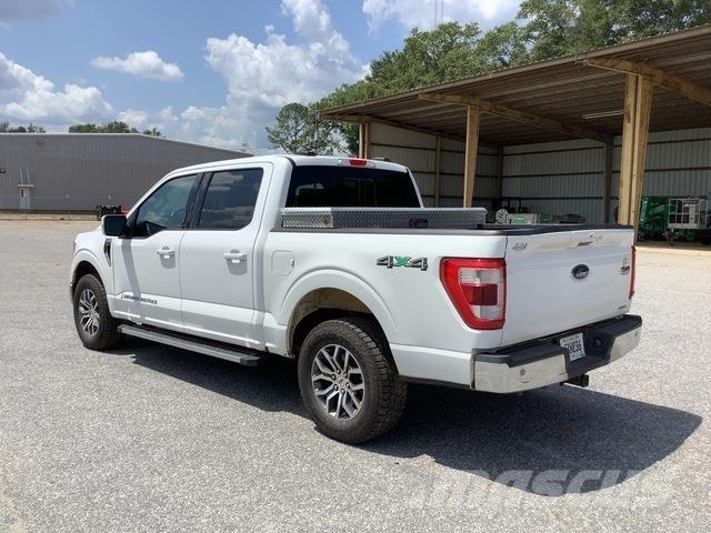 Ford F-150 Madelkaubikud