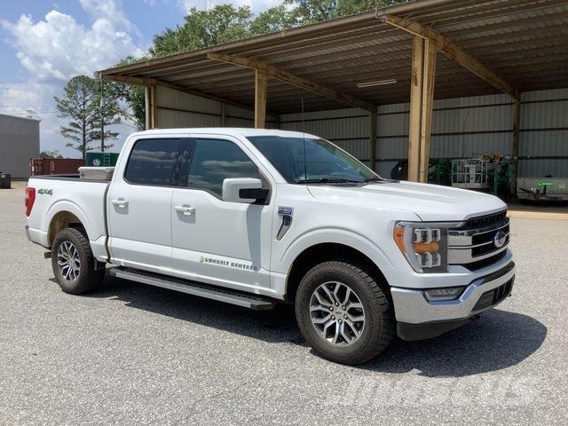 Ford F-150 Madelkaubikud