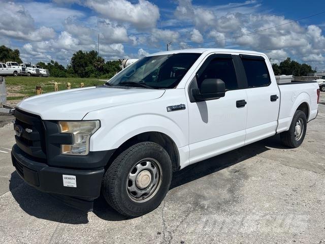 Ford F-150 Madelkaubikud