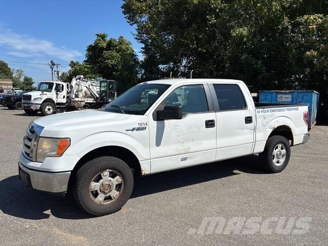 Ford F-150 Madelkaubikud
