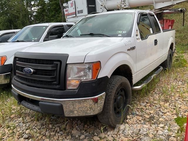 Ford F-150 Madelkaubikud