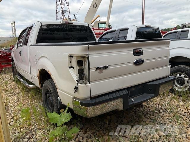 Ford F-150 Madelkaubikud