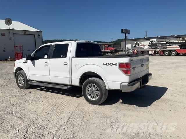 Ford F-150 Madelkaubikud