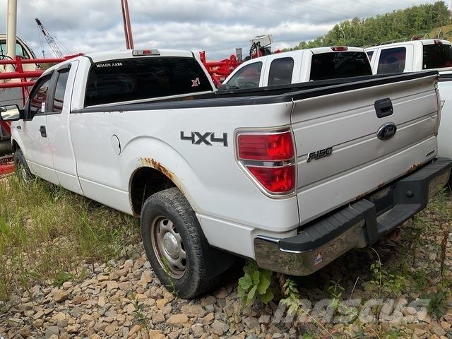Ford F-150 Madelkaubikud