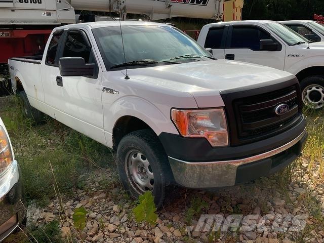 Ford F-150 Madelkaubikud