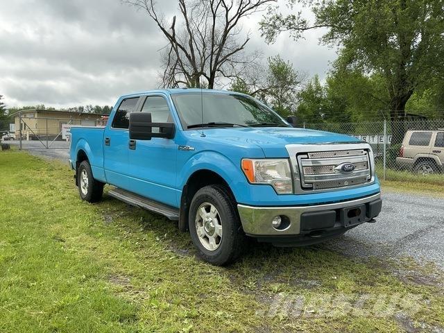 Ford F-150 Madelkaubikud