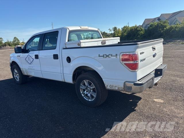 Ford F-150 Madelkaubikud