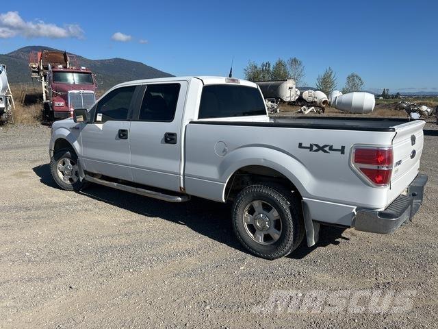 Ford F-150 Madelkaubikud